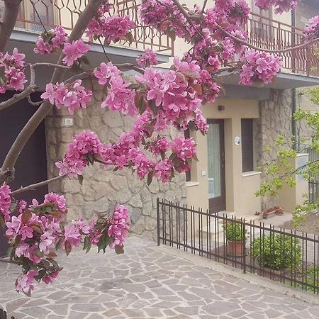 La Casina Di Nonna Giulia Apartment Castiglione d'Orcia Exterior photo