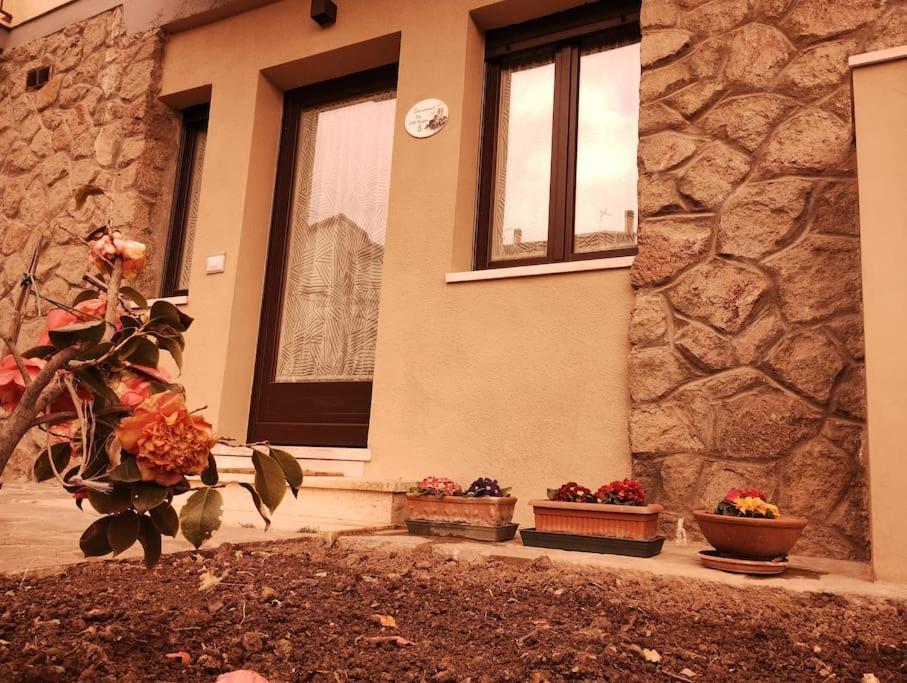 La Casina Di Nonna Giulia Apartment Castiglione d'Orcia Exterior photo