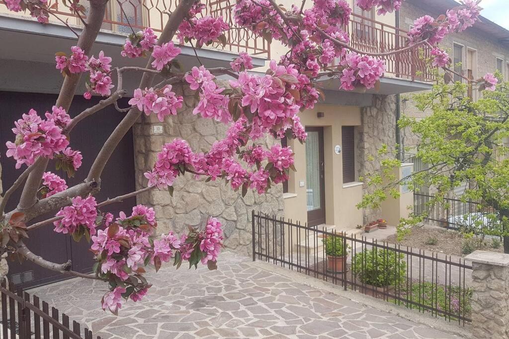 La Casina Di Nonna Giulia Apartment Castiglione d'Orcia Exterior photo